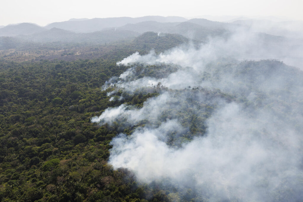 Las sequías y olas de calor hacen más frecuentes los incendios forestales extremos, según un informe