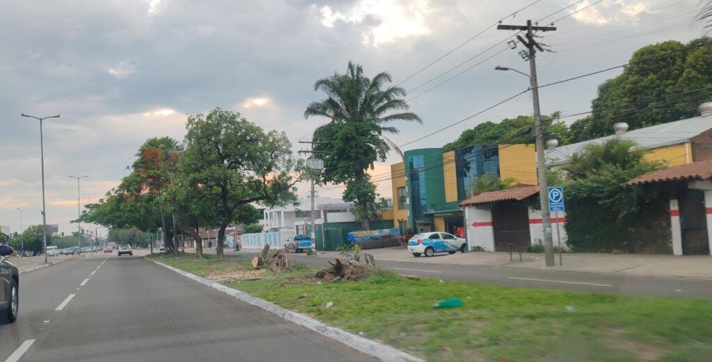 Sur leve con lluvias hasta el viernes y fin de semana caluroso: el campo en alerta por falta de diésel