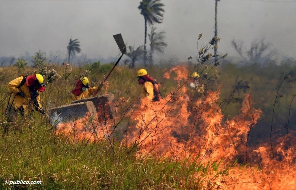 Incendios forestales se reducen drásticamente en 2025, según reporte oficial