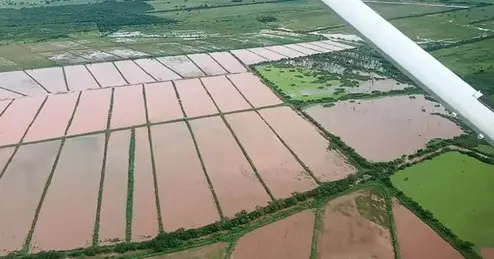 Señor del Clima: Millones de hectáreas productivas vulnerables