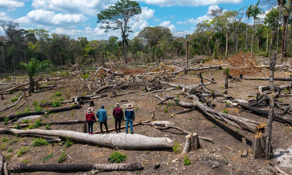 Los avasallamientos son una amenaza recurrente para los pueblos indígenas amazónicos. En la comunidad Los Ángeles del territorio Monte Verde, los indígenas chiquitanos se enfrentaron a los invasores y los desalojaron | Foto: Edy Yobanny Velasco
