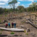Los avasallamientos son una amenaza recurrente para los pueblos indígenas amazónicos. En la comunidad Los Ángeles del territorio Monte Verde, los indígenas chiquitanos se enfrentaron a los invasores y los desalojaron | Foto: Edy Yobanny Velasco