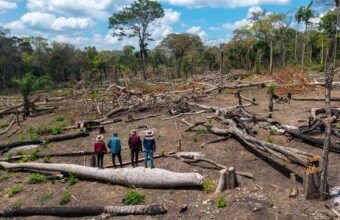 Los avasallamientos son una amenaza recurrente para los pueblos indígenas amazónicos. En la comunidad Los Ángeles del territorio Monte Verde, los indígenas chiquitanos se enfrentaron a los invasores y los desalojaron | Foto: Edy Yobanny Velasco