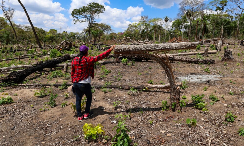Isabel Surubí es la vicepresidente de la comunidad Los Ángeles, que en 2025 registró un avasallamiento de tierras y tala de sus bosques | Foto: Edy Yobany Velasco Alanes.