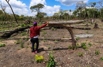 Isabel Surubí es la vicepresidente de la comunidad Los Ángeles, que en 2025 registró un avasallamiento de tierras y tala de sus bosques | Foto: Edy Yobany Velasco Alanes.