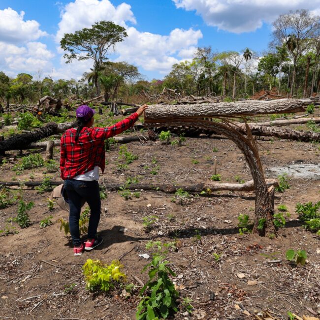 Isabel Surubí es la vicepresidente de la comunidad Los Ángeles, que en 2025 registró un avasallamiento de tierras y tala de sus bosques | Foto: Edy Yobany Velasco Alanes.