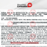 ¿Qué dice la imputación contra Cerimedo? Asuntos Centrales accedió al documento completo