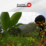EEUU mantiene a Bolivia en su lista de países que incumplen compromisos antidrogas
