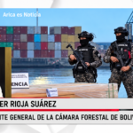 Quema de madera boliviana en Chile amenaza con reducir las exportaciones forestales a $us 49 millones